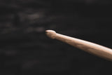 MEINL Standard Long 5A Drumstick SB103 (new)