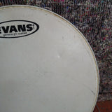 Used Evans G1 Coated 10" Drum Head